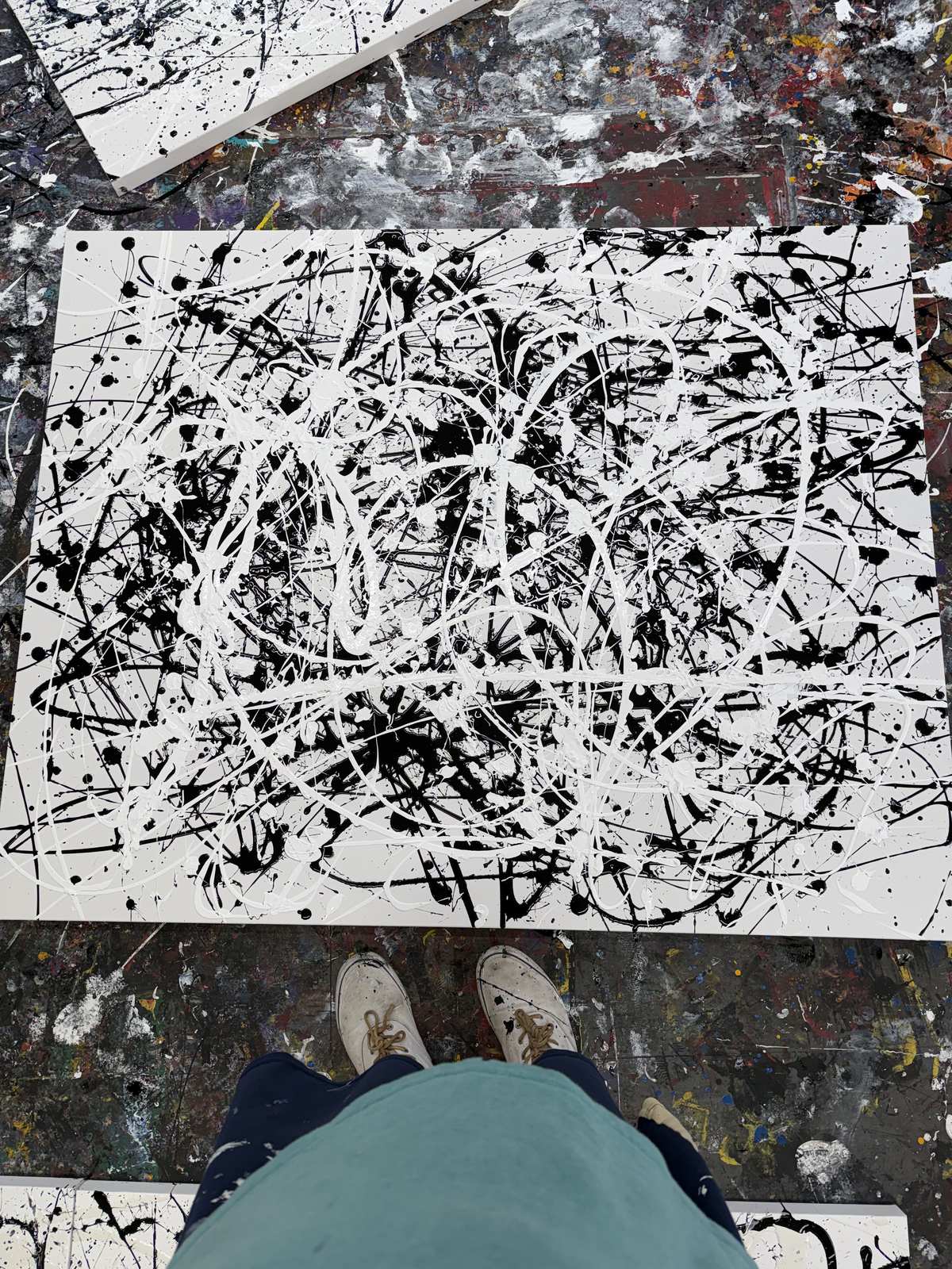 Black on white, from above